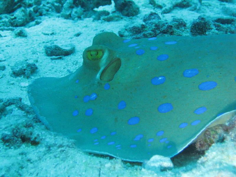 2009-12-01 11-32-00S.JPG